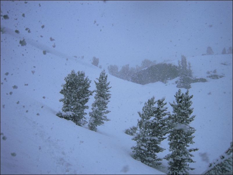 2006-05-21 (27) big flakes